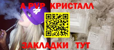 стафф Нальчик
